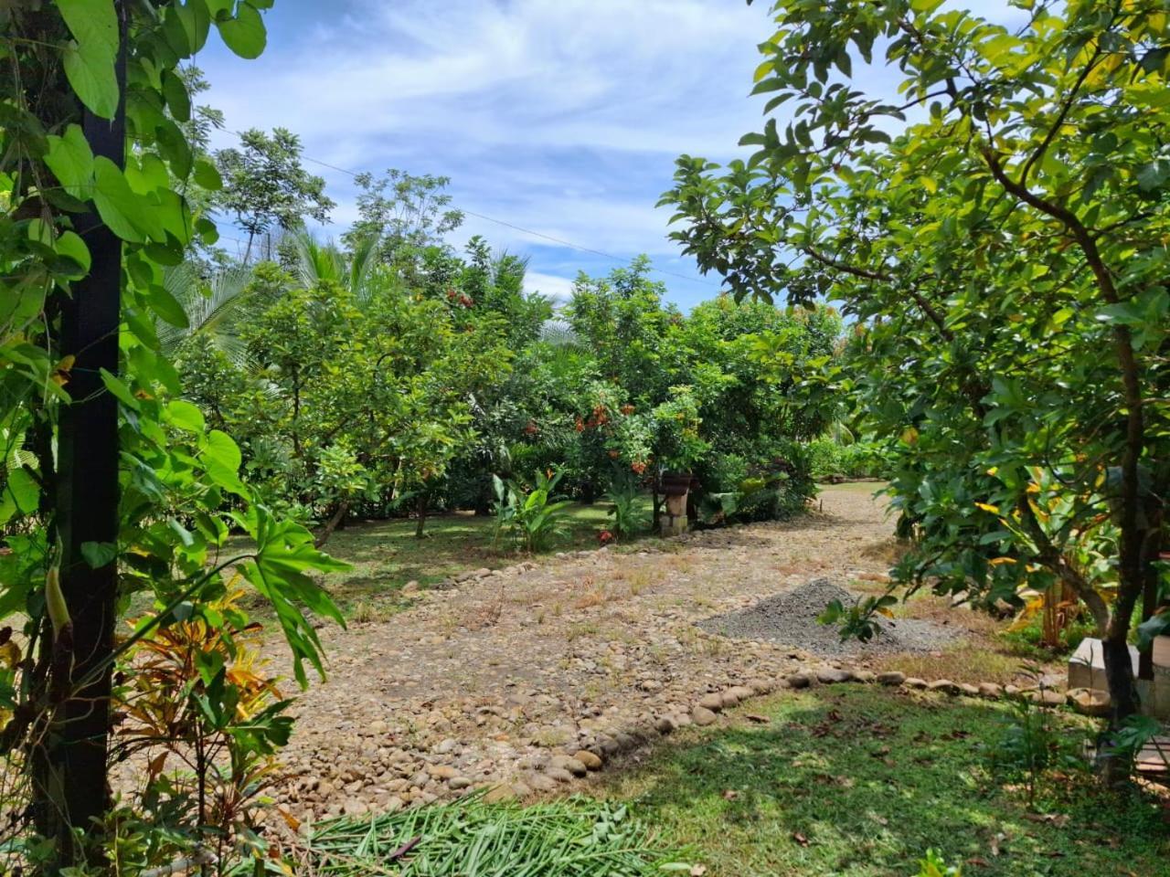 Bungalow Batsu La Fortuna المظهر الخارجي الصورة